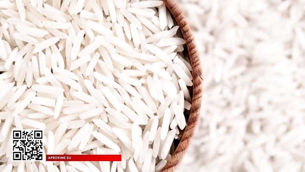 Variedades do arroz permitem uso de menos água nas lavouras thumbnail