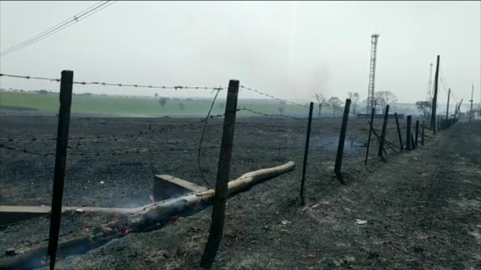 Fogo destruiu pastagem às margens da Rodovia Marechal Rondo, em Castilho — Foto: Reprodução/TV TEM