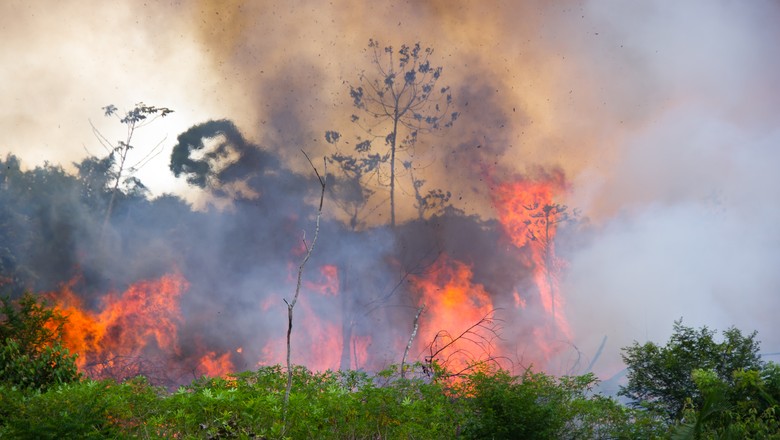 fogo-amazonia-incendio-floresta (Foto: Getty Images)