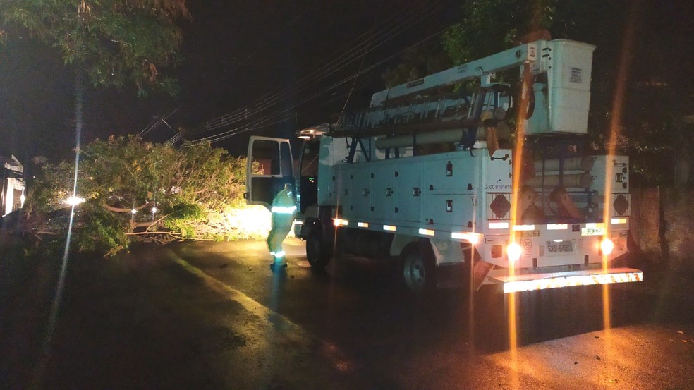 Oito árvores caíram nesta sexta-feira (15) em Barra Bonita  — Foto: Arquivo pessoal
