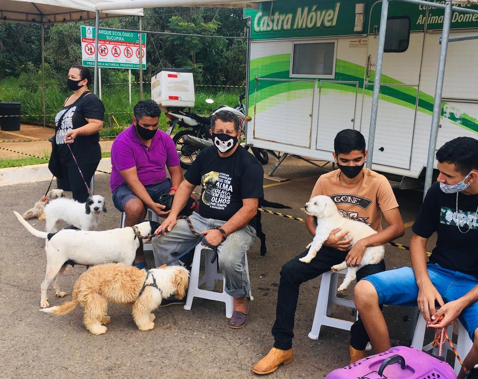 Campanha castramóvel, de castração de cães e gatos, no DF — Foto: Marcelo Sirkis/Ibram
