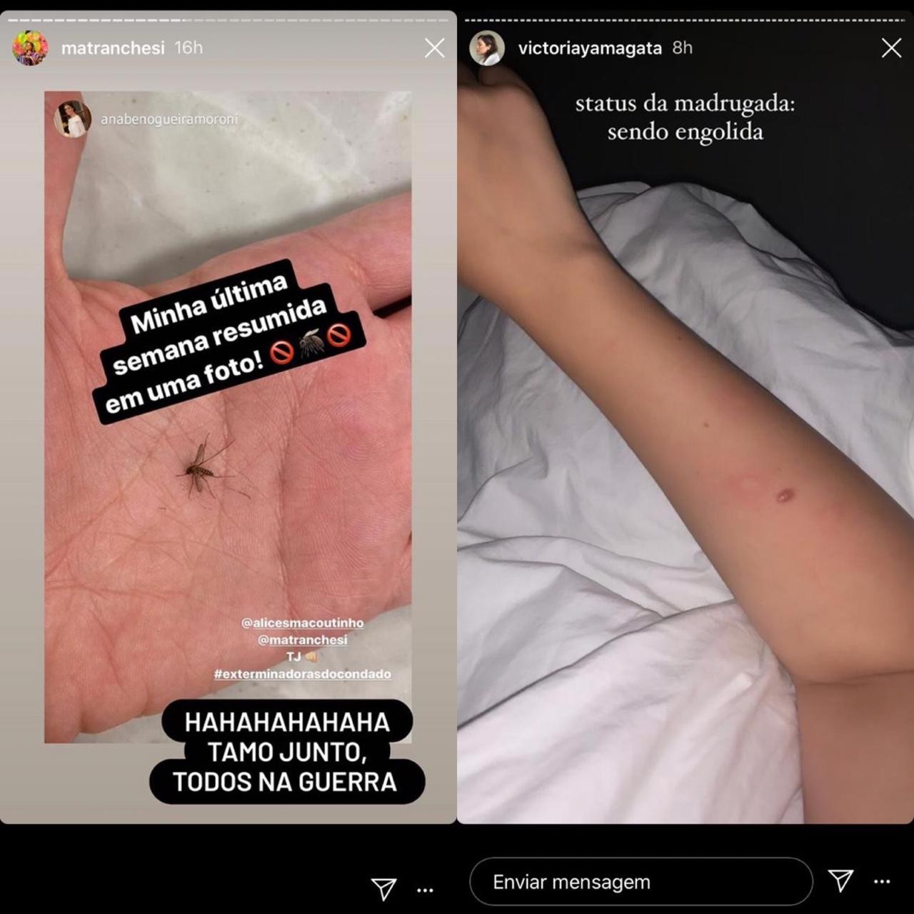 Famosos e fashionistas reclamam nas redes sociais de invasão de mosquitos em São Paulo (Foto: Reprodução)