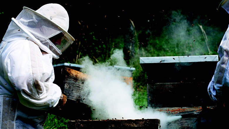 apicultura-apicultor-abelha-mel (Foto: Getty Images)