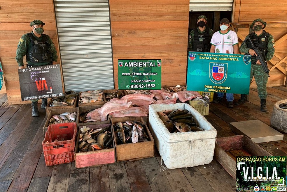 Peixes e quelônios foram apreendidos em terminal pesqueiro do município de Manacapuru, no interior do Amazonas. — Foto: Divulgação/Polícia Militar