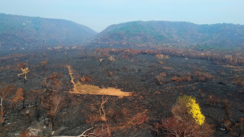 queimadas-amazonia-floresta-incendios-fogo (Foto: Emiliano Capozoli/Ed.Globo)