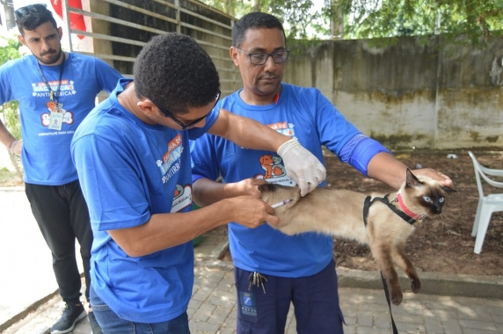 Campanha de vacinação antirrábica em Natal — Foto: Divulgação