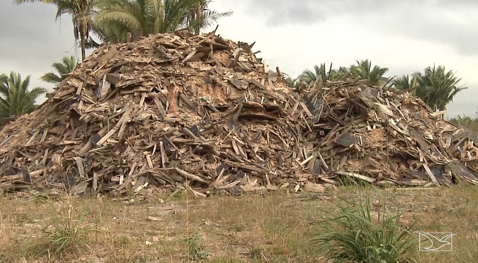 Terreno contaminado fica na zona rural de Alto Alegre do Pindaré  (Foto: Reprodução/TV Mirante)