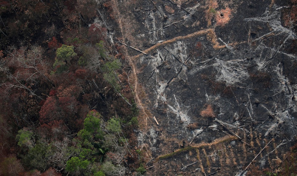 Foto aérea mostra uma parcela desmatada da Amazônia perto de Porto Velho — Foto: Ueslei Marcelino/Reuters