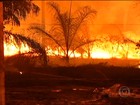 Tempo seco causa incêndios florestais em 17 municípios do Pará