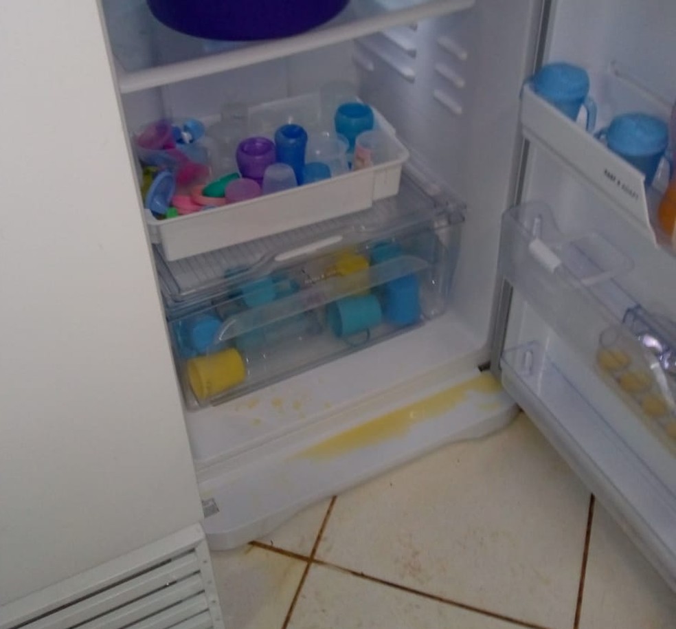 Urina foi espalhada pela cozinha do centro municipal de educação infantil em Londrina — Foto: Divulgação