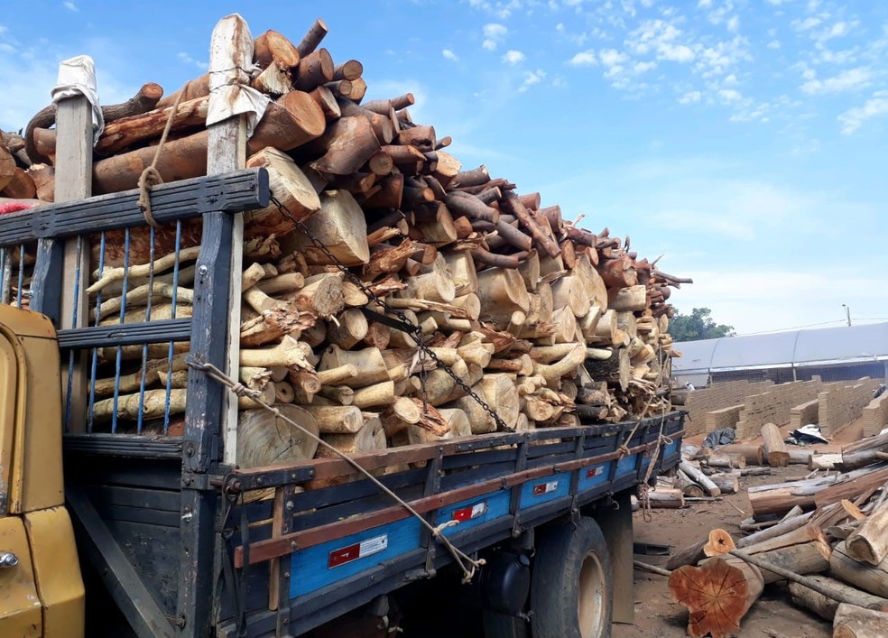 Transporte irregular de madeira foi flagrado em Panorama — Foto: Polícia Ambiental 