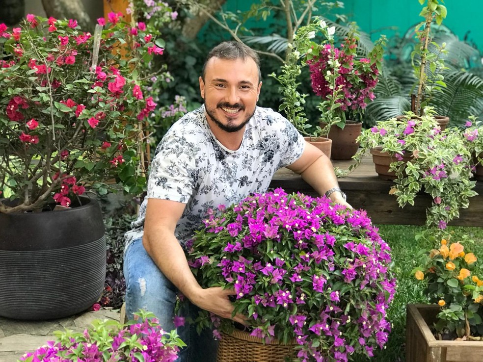 Buganvília: saiba como cultivar a flor primavera | É de Casa | gshow
