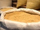 Saca da farinha de mandioca custa em média R$ 164,17, em Rondônia