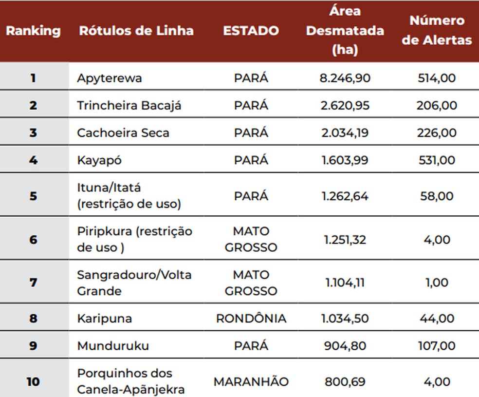 Mato Grosso aparece em 6º e 7º lugar com maior índice de desmatamento em terras indígenas — Foto: MapBiomas