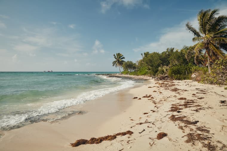 Airbnb escolhe voluntários para morar dois meses nas Bahamas (Foto: Divulgação/Airbnb)