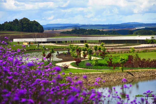 Parque na serra gaúcha reúne 7 milhões de plantas   (Foto: Marcelo Messias)