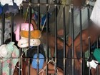 Policiais civis denunciam que presos vivem em condições precárias no AM