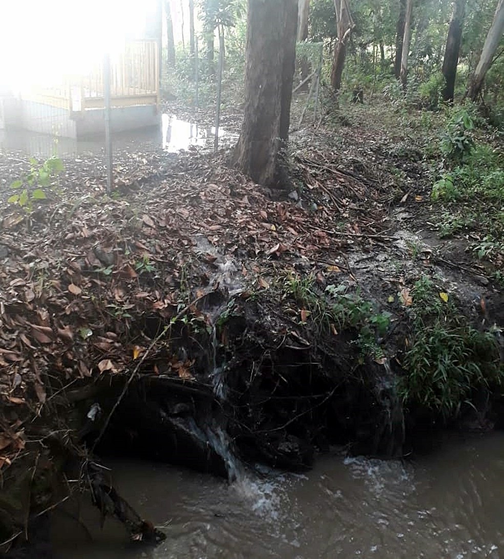 Imagens Registram Vazamento De Esgoto No Ribeirao Dos Pires Em Limeira Piracicaba E Regiao G1