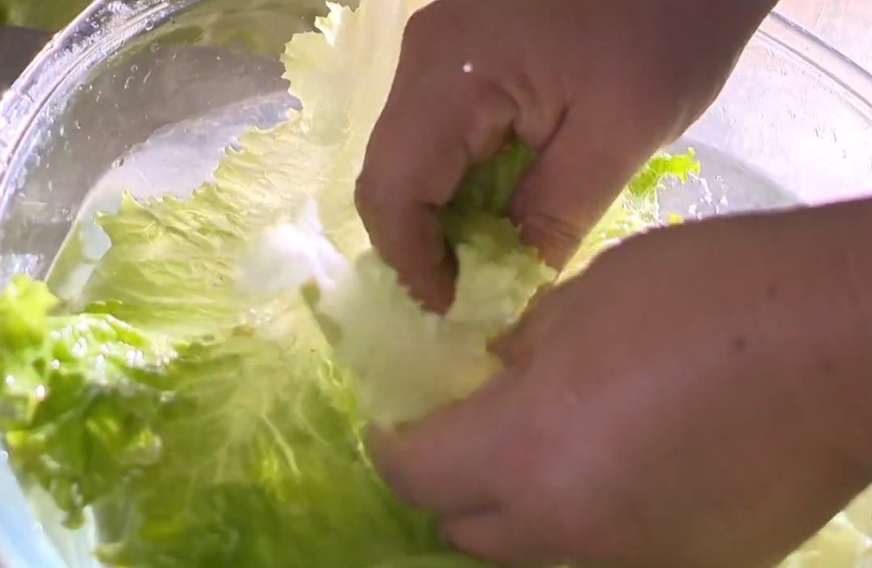 Orientação é que se lave bem alimentos crus, como legumes e verduras (Foto: Reprodução/RBS TV)