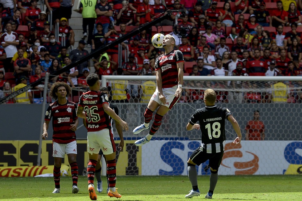 Flamengo x Botafogo &mdash; Foto: Marcelo Cortes / Flamengo