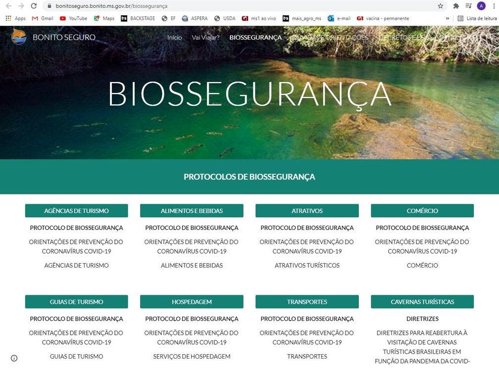 Pagina do programa Bonito Seguro, com os protocolos de biossegurança implementados na cidade — Foto: Reprodução/G1 MS