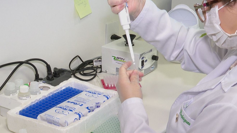252 exames já foram realizados em Araripina, sendo 210 testes rápidos e 42 analisados pelo Lacen. — Foto: Reprodução/EPTV