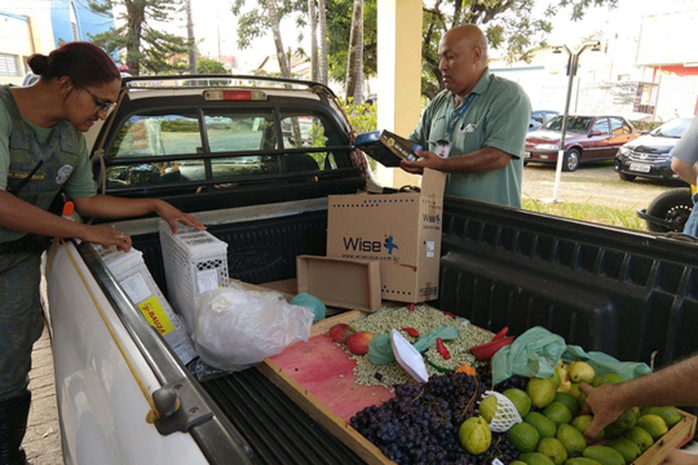Fiscalização foi realizada após denúncias, segundo a Prefeitura (Foto: Prefeitura de Limeira)