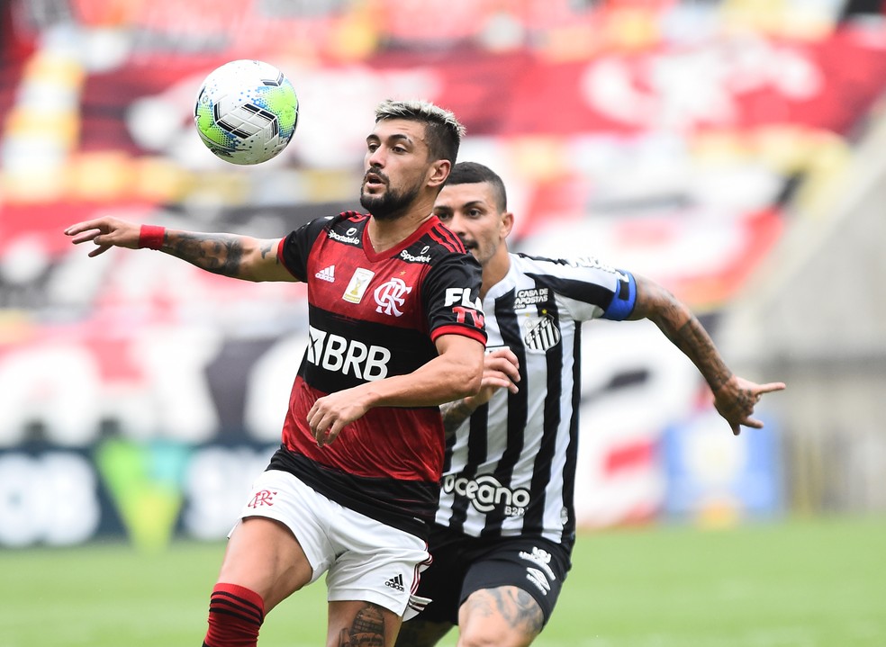 Flamengo x Santos — Foto: André Durão