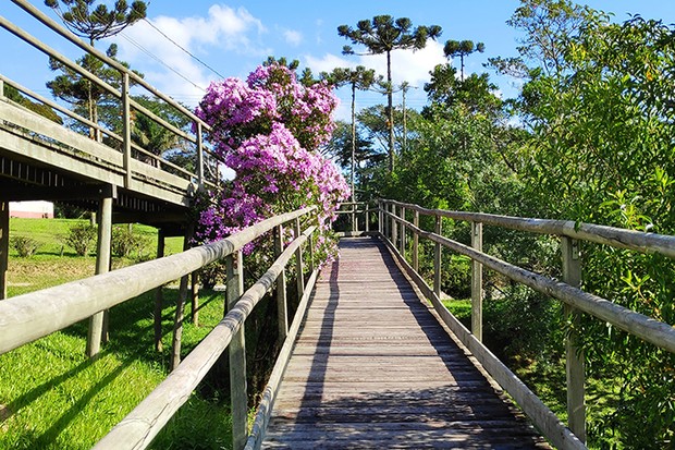 7º Trilhão do Pedregulho