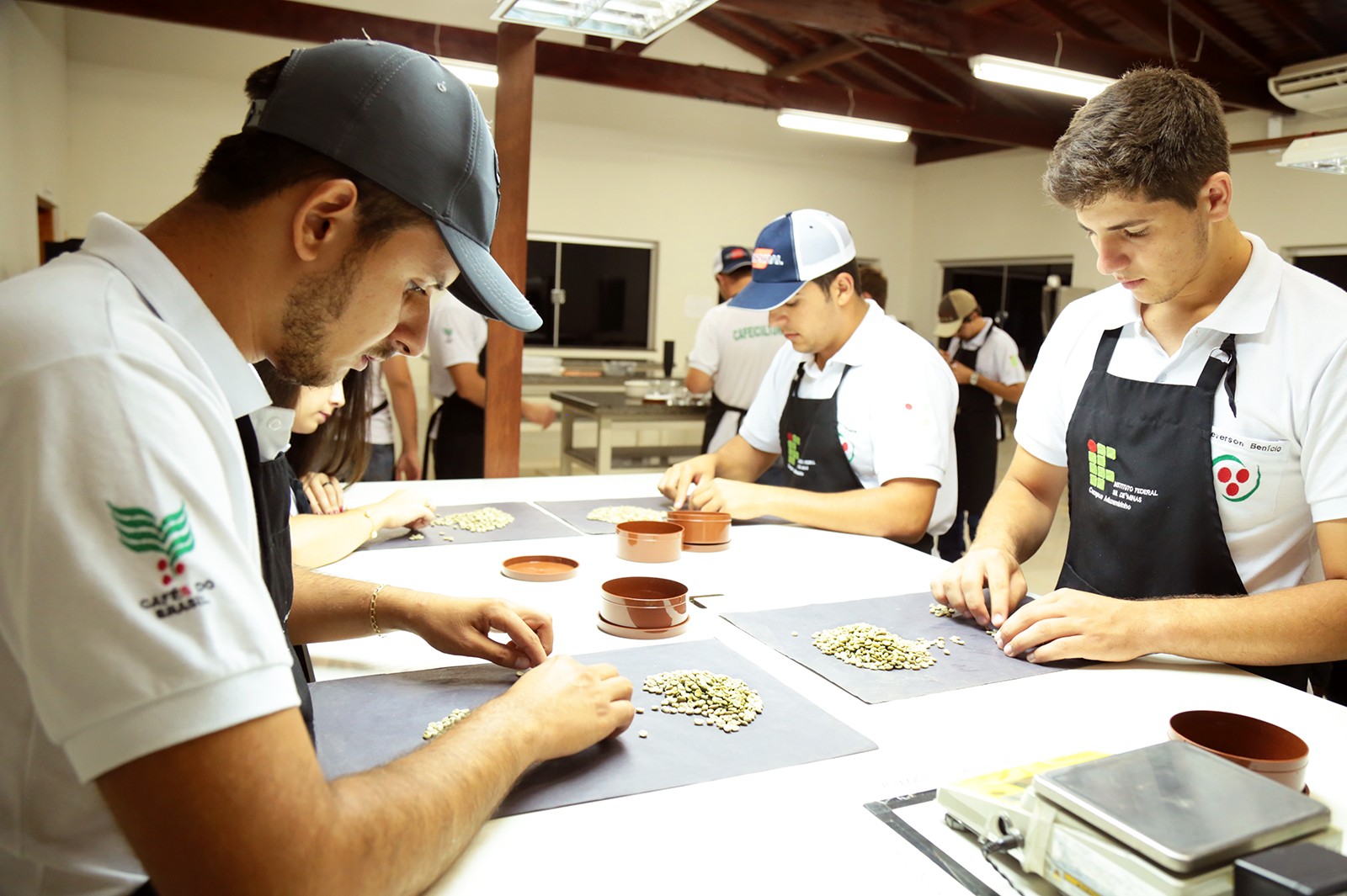 Alunos estudam toda a cadeia produtiva do café até a comercialização (Foto: Viola Júnior)