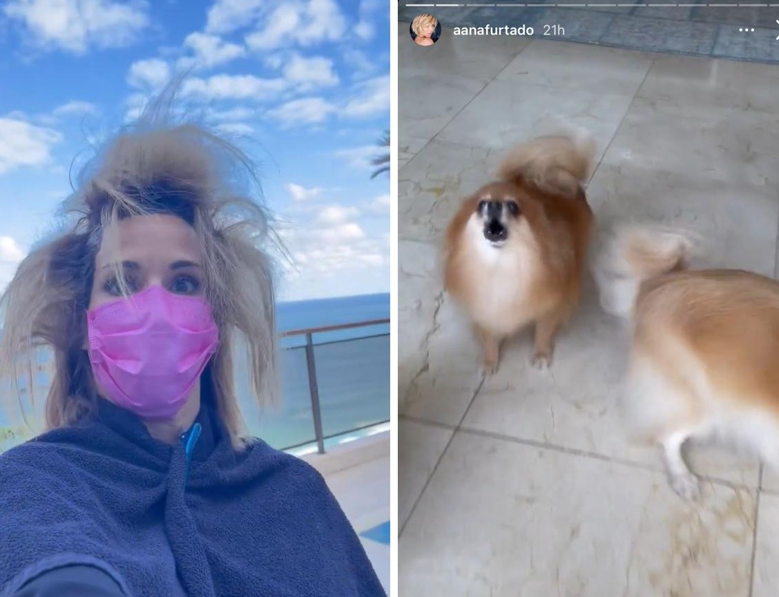 Ana Furtado aparece descabelada e ´assusta´ cachorros (Foto: Reprodução/Instagram)