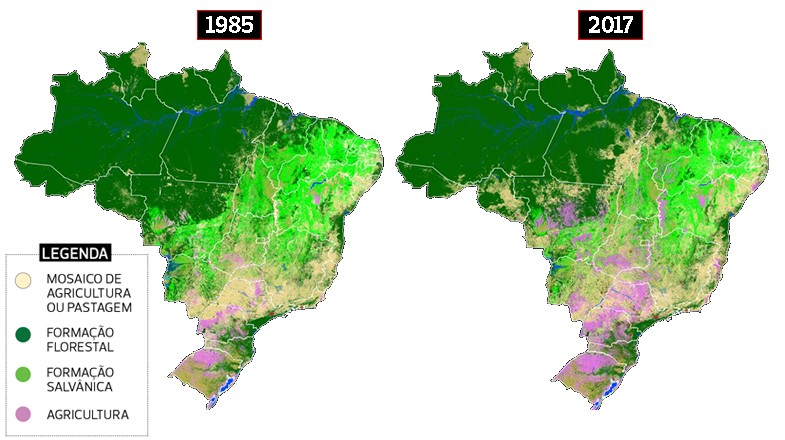 brasil-vegetação-mapbiomas-bioma-mapa (Foto: MapBiomas/Globo Rural)