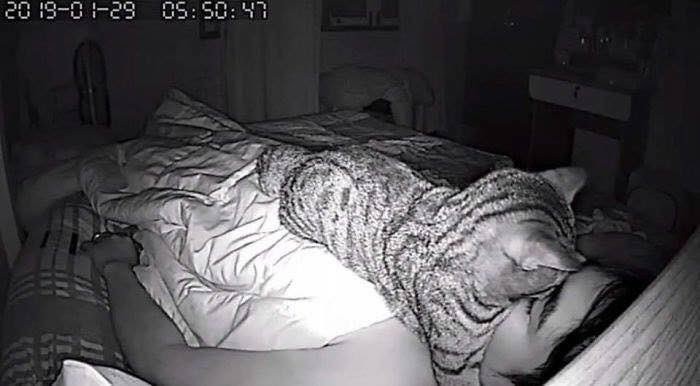 Lomphonten Lomphontan instalou câmeras para descobrir por que não conseguia respirar à noite (Foto: Reprodução/Twitter)