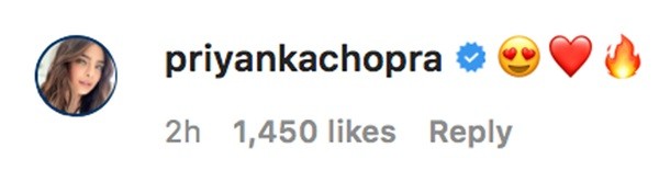 O post da atriz Priyanka Chopra celebrando a barba feita do marido (Foto: Instagram)