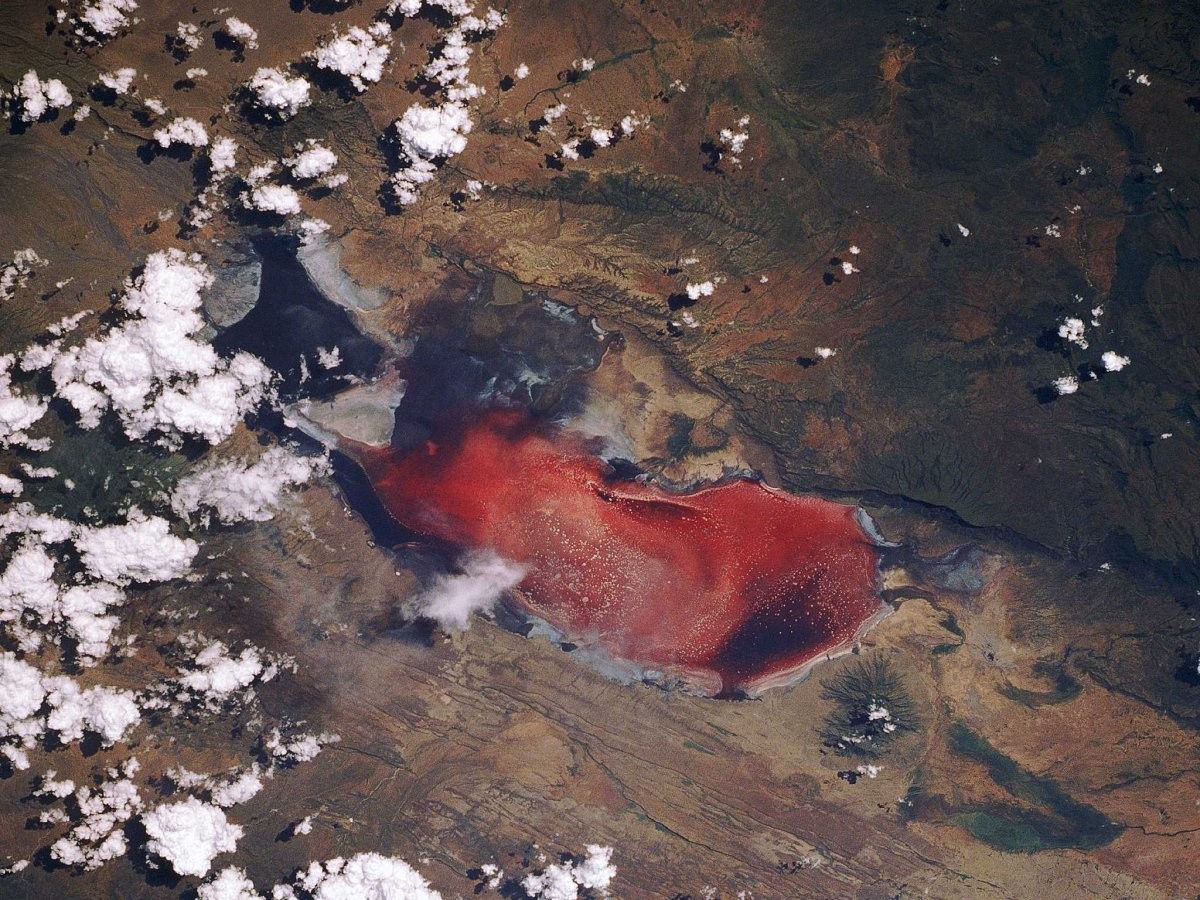 O Lago Natron, na Tanzânia, é conhecido por suas águas vermelhas. A pigmentação acontece porque causa das algas que liberam compostos salinos e que atraem milhões de flamingos entre os meses de junho e novembro. (Foto: Reprodução)