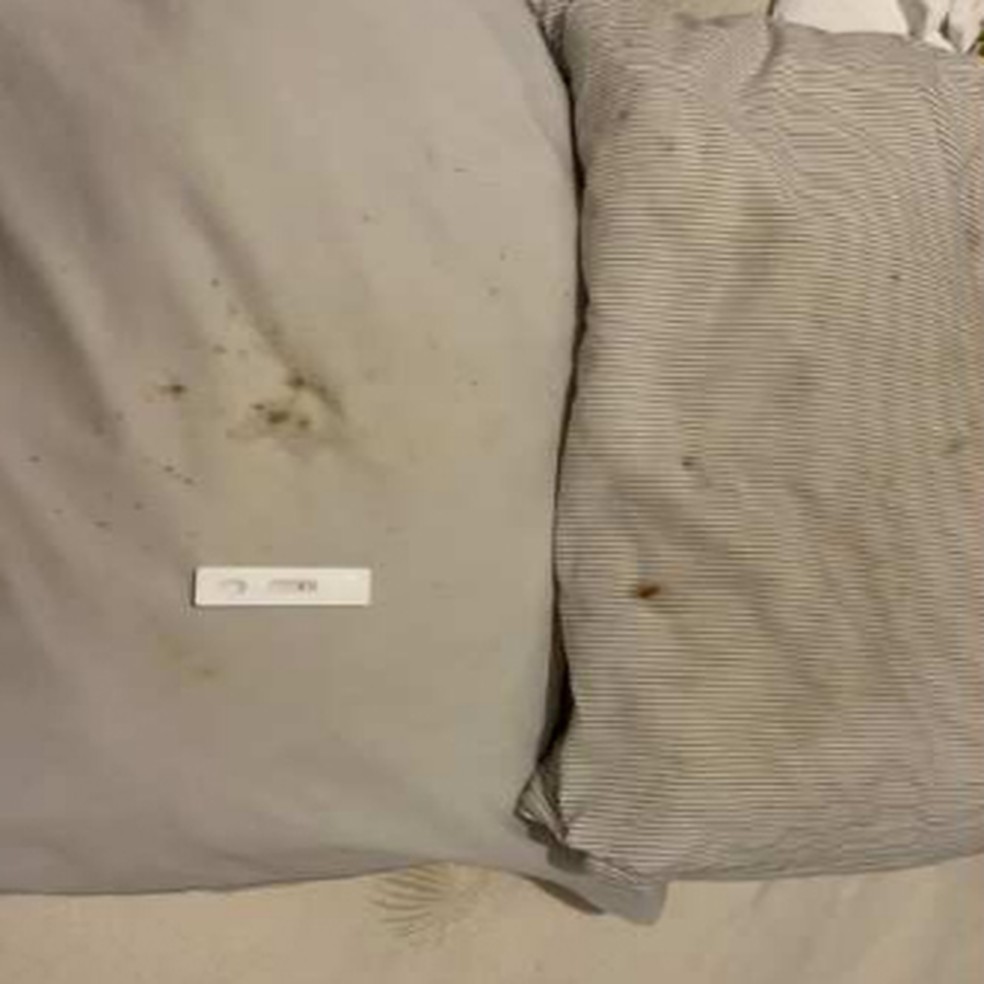 Peritos encontraram vestígios de sangue em travesseiro de apartamento onde viviam cônsul alemão e marido belga — Foto: Reprodução