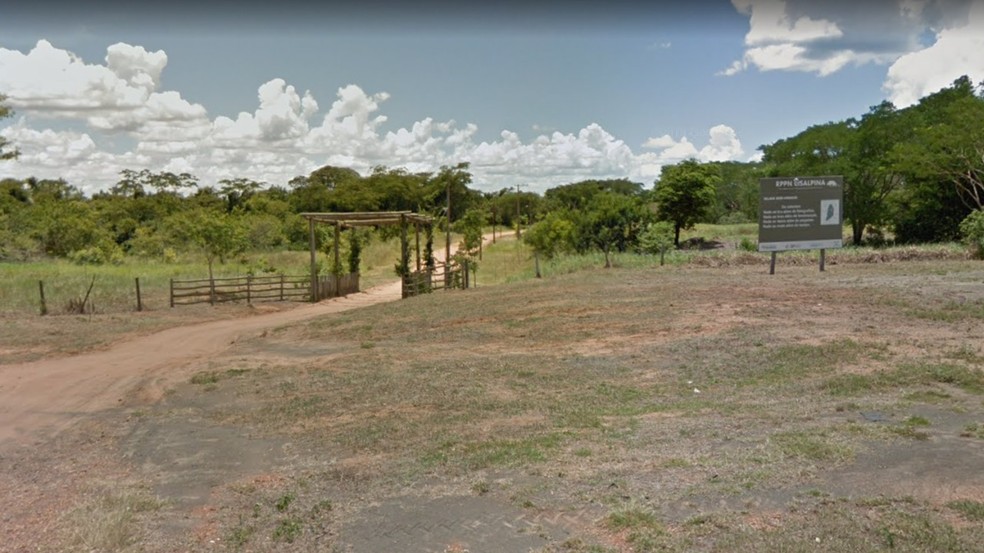 Reserva Cisalpina, onde chamas estão concentradas — Foto: Corpo de Bombeiros/Divulgação