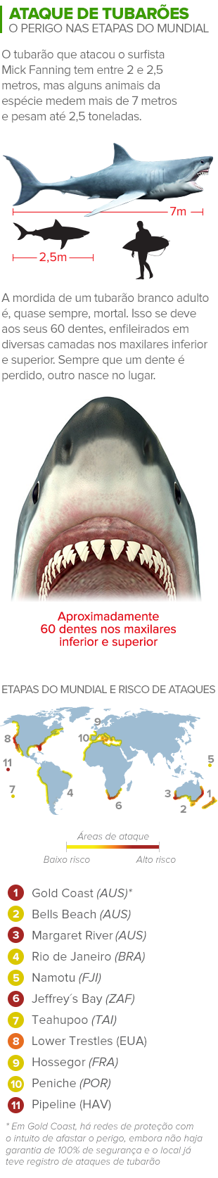 info ataque tubarão 3 (Foto: arte esporte)