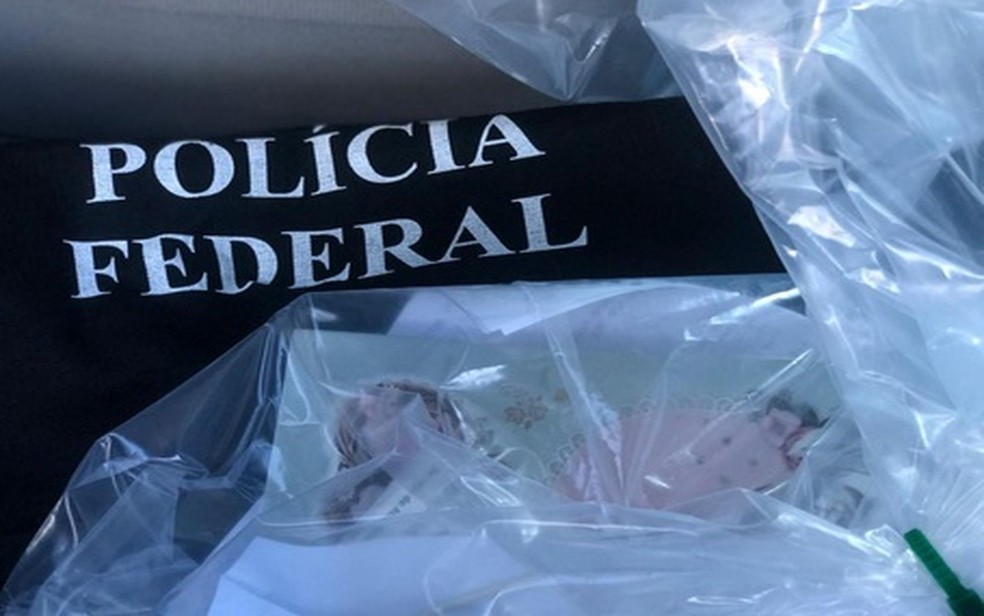 Material apreende pela Polícia Federal — Foto: PF