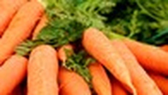 Como plantar cenoura? Veja dicas para facilitar cultivo 