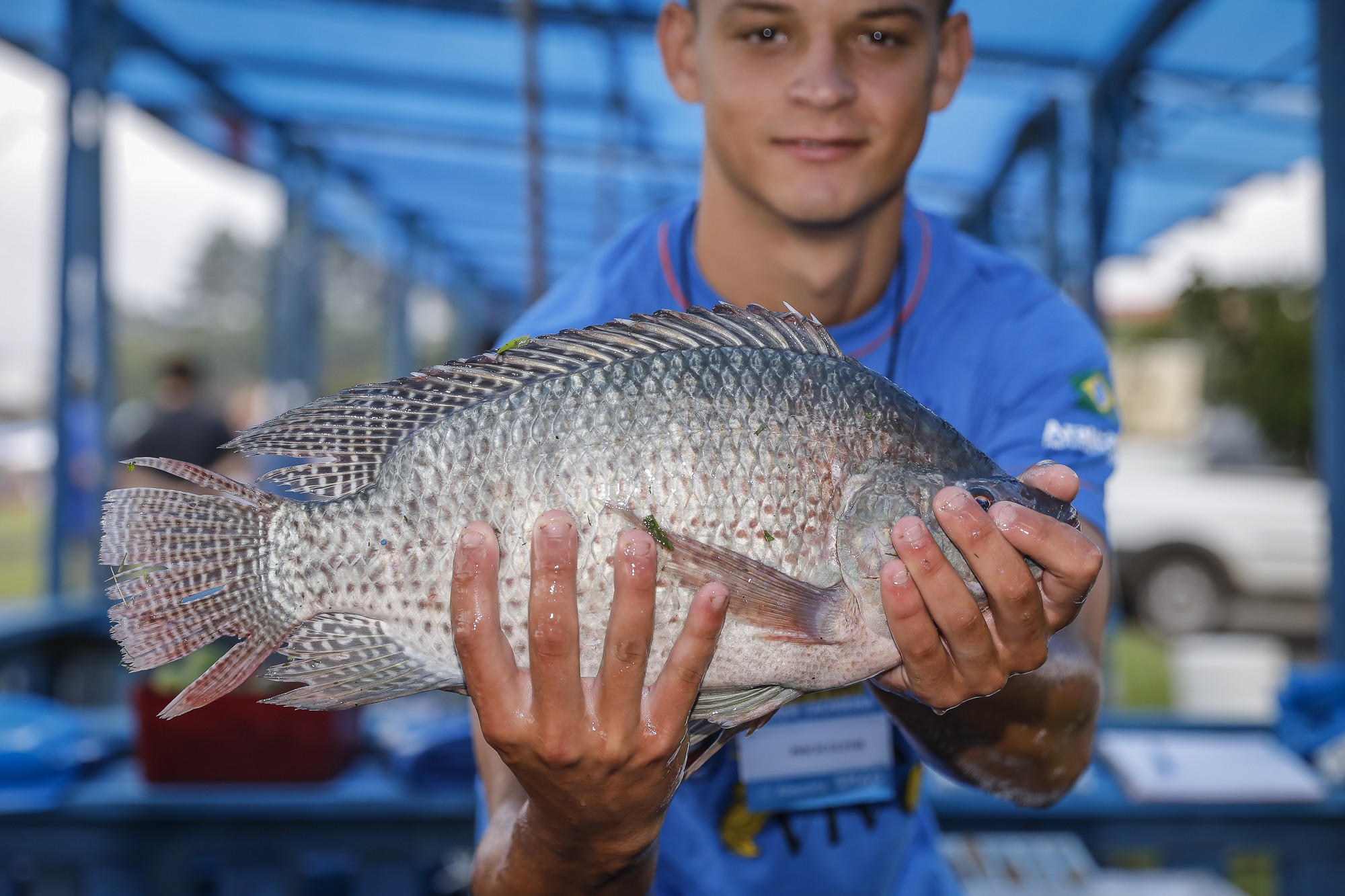 VEM AÍ: 30ª Feira do Peixe Vivo de Araucária acontecerá nos dias 13 e 14 de abril