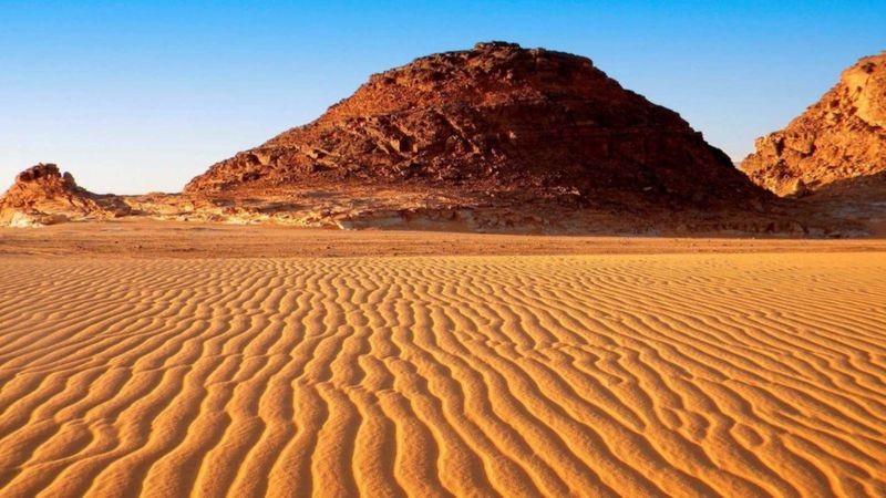Os países que fazem parte do Sahel estão plantando árvores para conter o avanço do deserto do Saara (Foto: Getty Images/BBC)