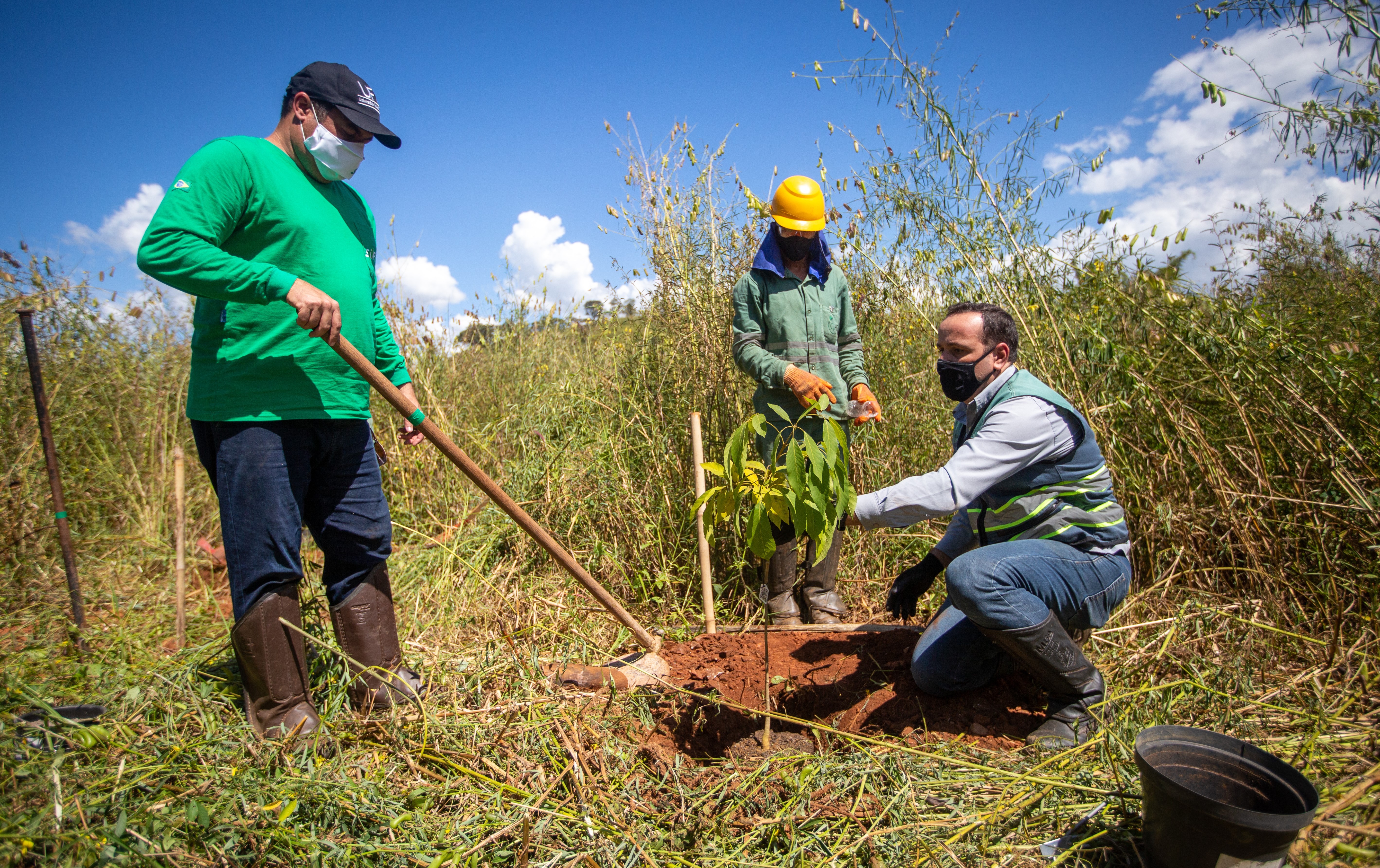 Equipe fazendo o plantio de espécies nativas de Brumadinho (Foto: Vale/Reprodução)