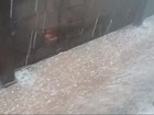 Tempestade de granizo derruba árvores em Turvolândia, MG