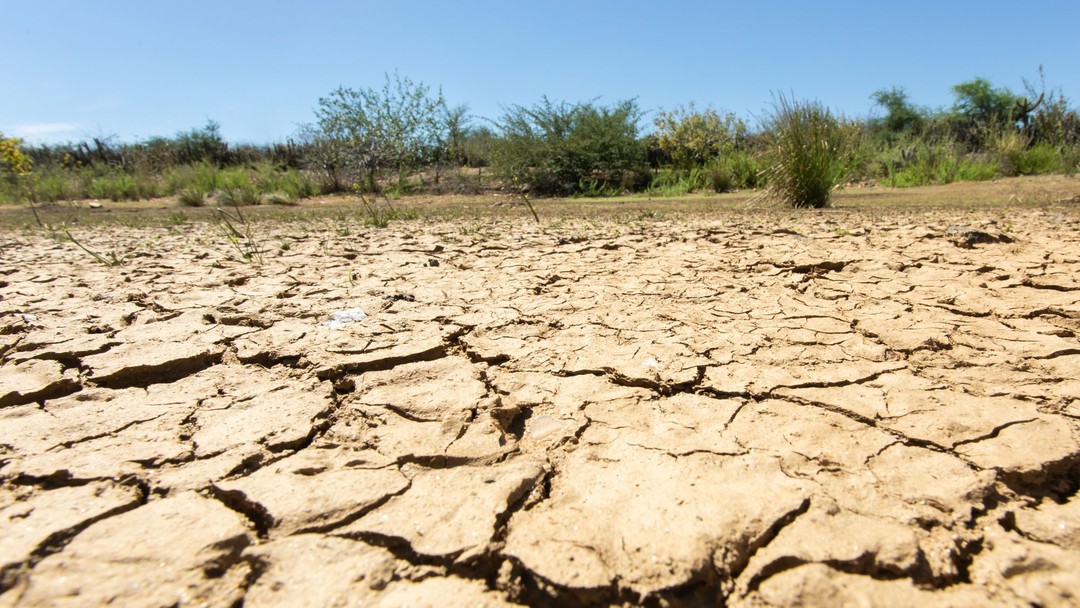 Desafio Natureza – Problemas ambientais no Brasil – G1 Natureza
