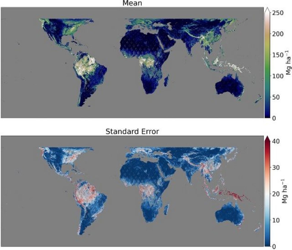 Visualização de dados do GEDI — as cores representam as toneladas de biomassa aérea por hectare no mapa superior, enquanto o mapa inferior mostra o erro de previsão do modelo GEDI de biomassa — Foto: Gentileza Adrián Pascual