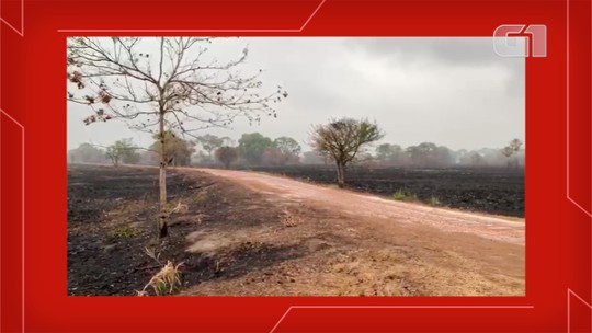 Chuva no Pantanal de MS acaba com muitos focos de fogo em fazenda e bombeiro fala em encerrar combate