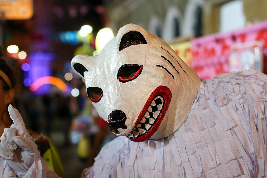 No Carnaval de Pernambuco, a fantasia principal da tradição La Ursa consiste em um macacão e uma máscara de urso que cobre toda a cabeça, geralmente feita de papel machê e pintada à mão