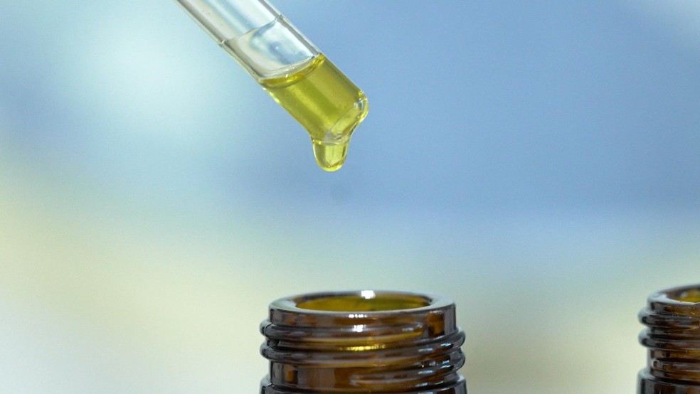 Cannabis medicinal é um óleo extraído da planta da maconha — Foto: Profissão Repórter