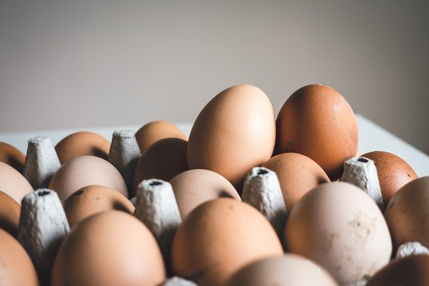 Ovos: brasileiro passou a consumir mais durante a pandemia (Foto: Jakub Kapusnak / Unsplash)